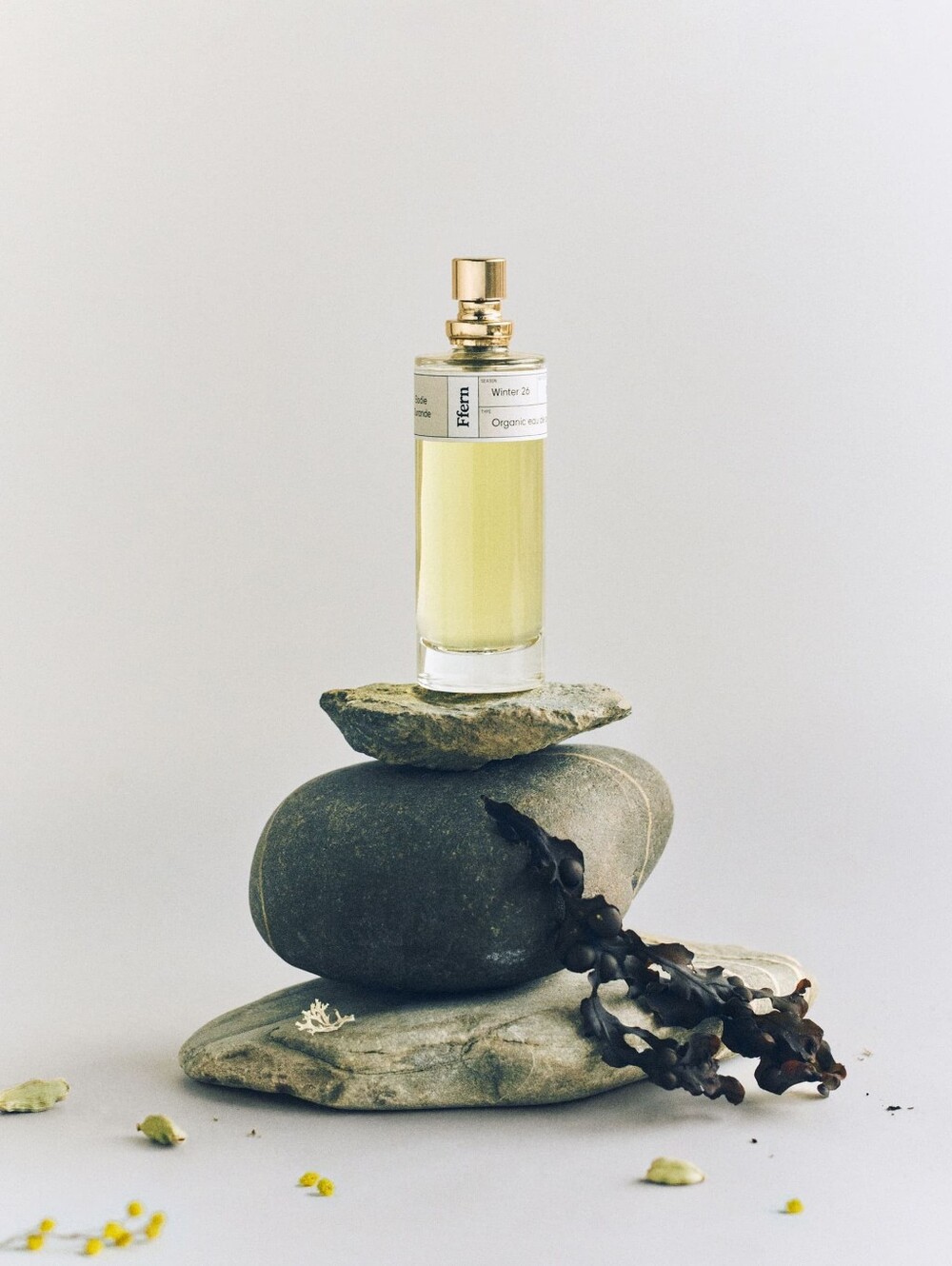 Exclusive Unopened Ffern Winter 2026 7-Pc Fragrance Kit OS + FREE 🎁